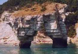 volipindarici.it Becerica