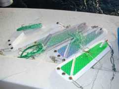 michigansportsman.com Bechhold