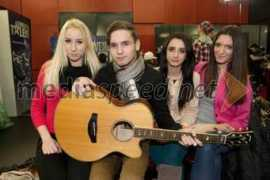 mediaspeed.net Becic