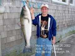 fishtradewinds.com Beckas