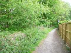 Beckfield