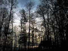 baibanella.twoday.net Bedani