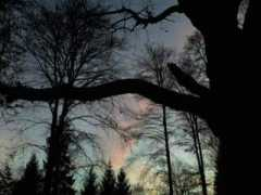 baibanella.twoday.net Bedani