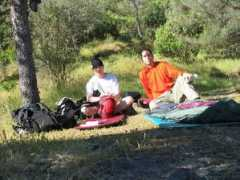 Beddings
