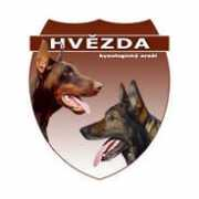 Bedea