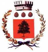comuni-italiani.it Bedollo