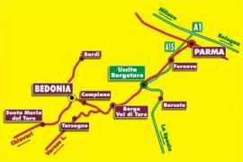 Bedonia