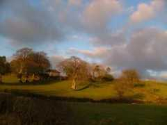 Beechfield