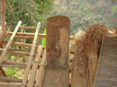 akha.org Beegum