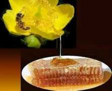 deonshoneyproducts.co.za Beehoney