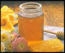 moondragon.org Beehoney