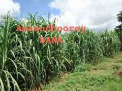 baidoanews.com Beerta