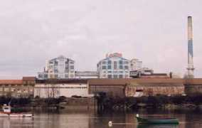 Beghin