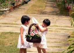 vietbao.vn Behai