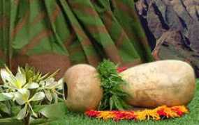 hulaon.org Behasa