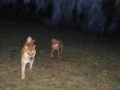 photo.jurica.info Behat