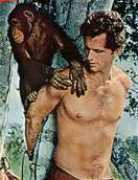 tarzan.com Behta