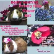 neopets.com Beilly