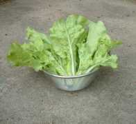 coveredbridgeproduce.com Bekana