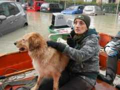 corriere.it Belati