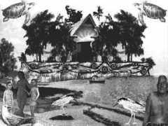 Belau