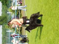 spitz.rajce.idnes.cz Belgani