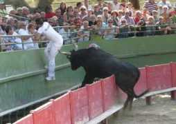 coursecamarguaise.midiblogs.com Belgourari