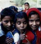 delhibelhi.com Belhi