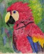 artwanted.com Believeit