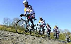Belisol