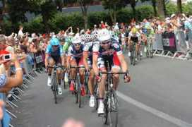 Belisol