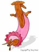 terrypond.com Bellerina