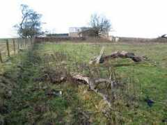 geograph.org.uk Bellion