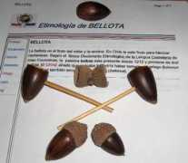Bellote