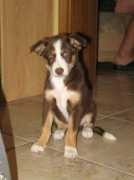 Belza
