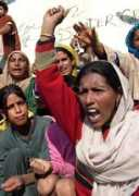 kashmirnewz.com Bemina