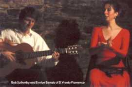 elvientoflamenco.com Benais