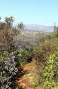 mountainbikebill.com Benardo