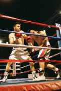 cyberboxingzone.com Bendia