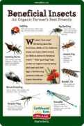 organicitsworthit.com Beneficial