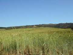 Beneroso
