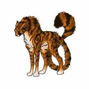 tryne.lmfao.org.uk Bengal
