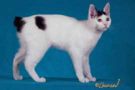 Benhana