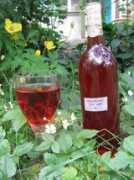 thefoodiebugle.com Benhardy