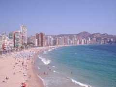 theolivepress.es Benidorm