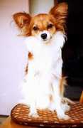 Benitha
