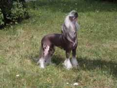 zlibosady.wbs.cz Benitta