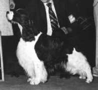 Benmor