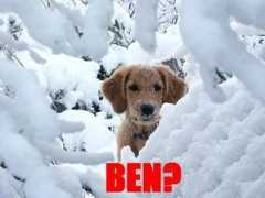 Benod