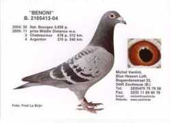 Benoni